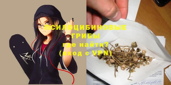 а пвп мука Гусиноозёрск