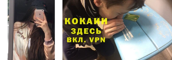 эйфоретик Гусь-Хрустальный