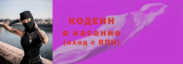 эйфоретик Гусь-Хрустальный