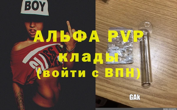 эйфоретик Гусь-Хрустальный