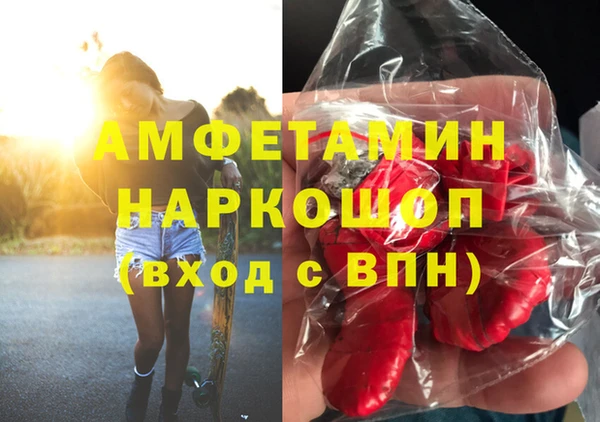 эйфоретик Гусь-Хрустальный