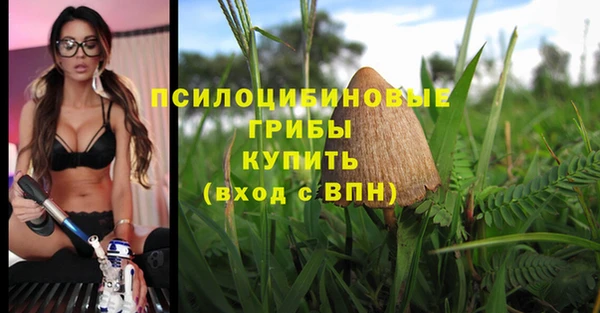 эйфоретик Гусь-Хрустальный