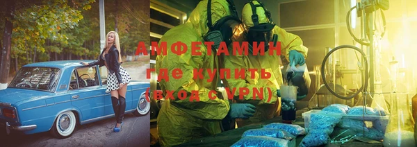 эйфоретик Гусь-Хрустальный