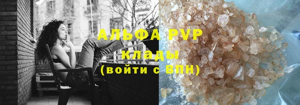 эйфоретик Гусь-Хрустальный