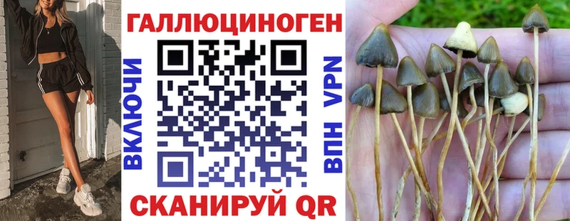 Псилоцибиновые грибы мухоморы Ногинск